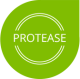 ico_0000_protease