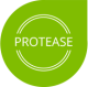 Ico 0000 Protease Ppagd0xfa4bgsykb77yoovmkyeyl7uib3llocebwgm