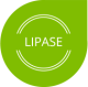 ico_0001_lipase