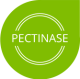 ico_0005_pectinase